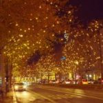 Self Cleaning Street Light Palm oil