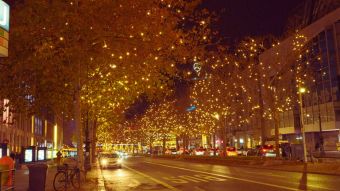 Self Cleaning Street Light Palm oil