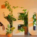 SEO Instant Appear Highsoftware99.com