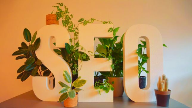 SEO Instant Appear Highsoftware99.com