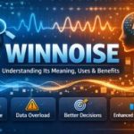 Winnoise